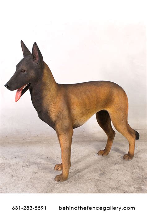 malinois statue